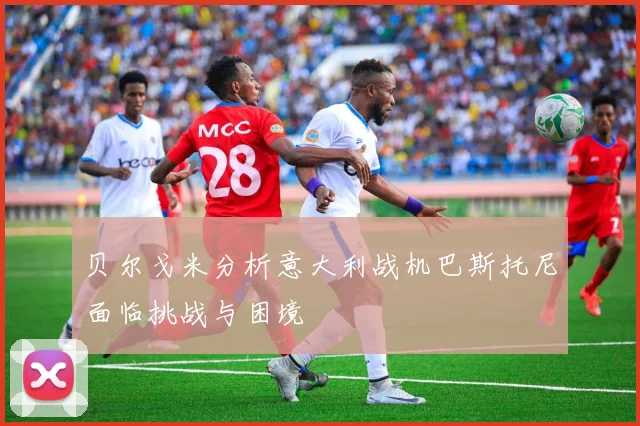 贝尔戈米分析意大利战机巴斯托尼面临挑战与困境